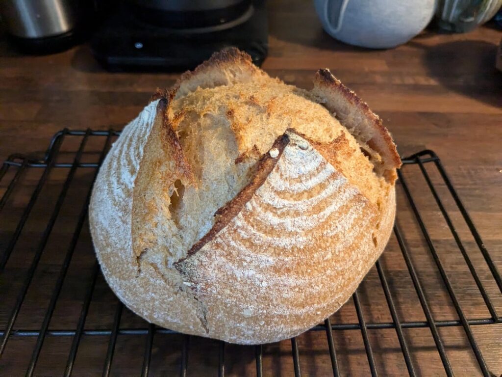 Winged it on my first sourdough in a while