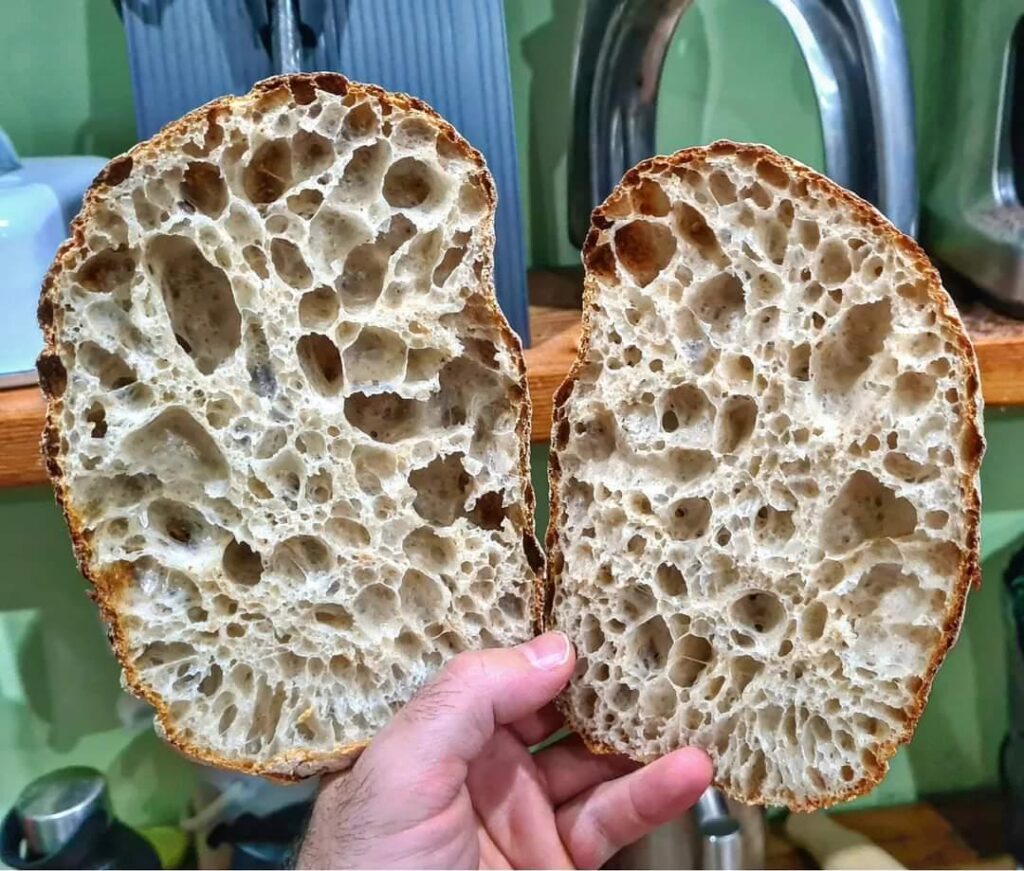 Sourdough ciabatta