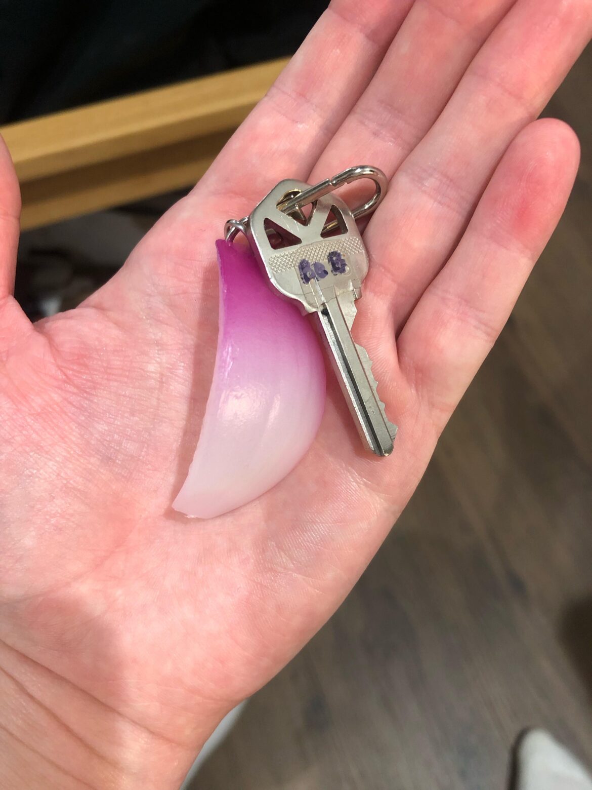 Thought you lovely folks would appreciate my new keychain