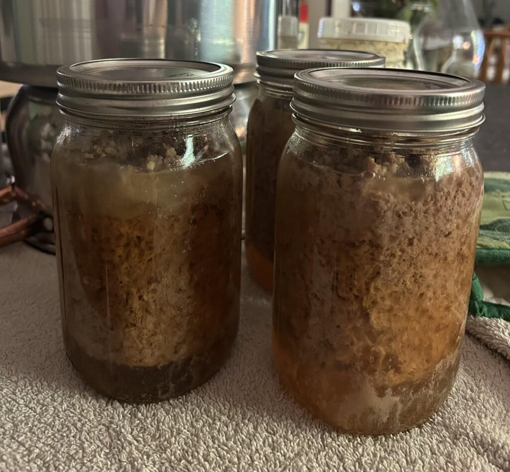 New to pressure canning New to pressure canning