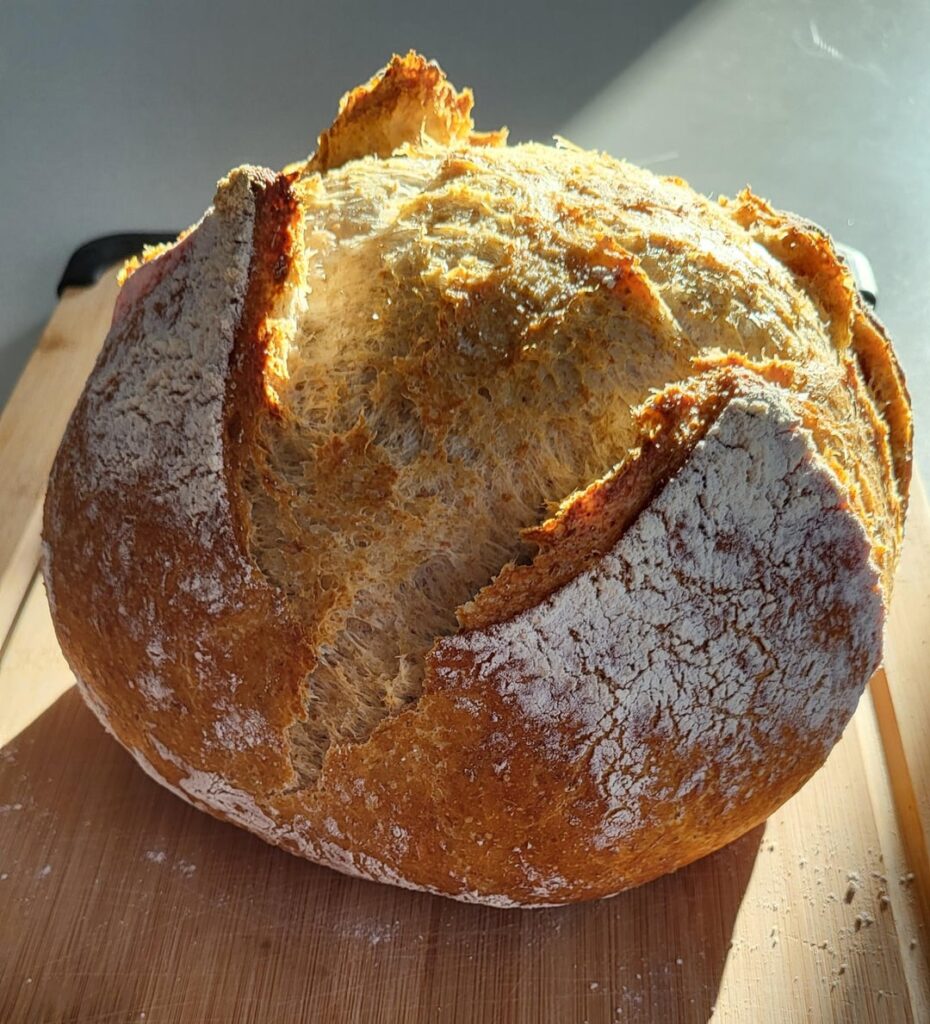 Since my family is unfazed by my amateur bread baking skills, I'm sharing it with you guys.