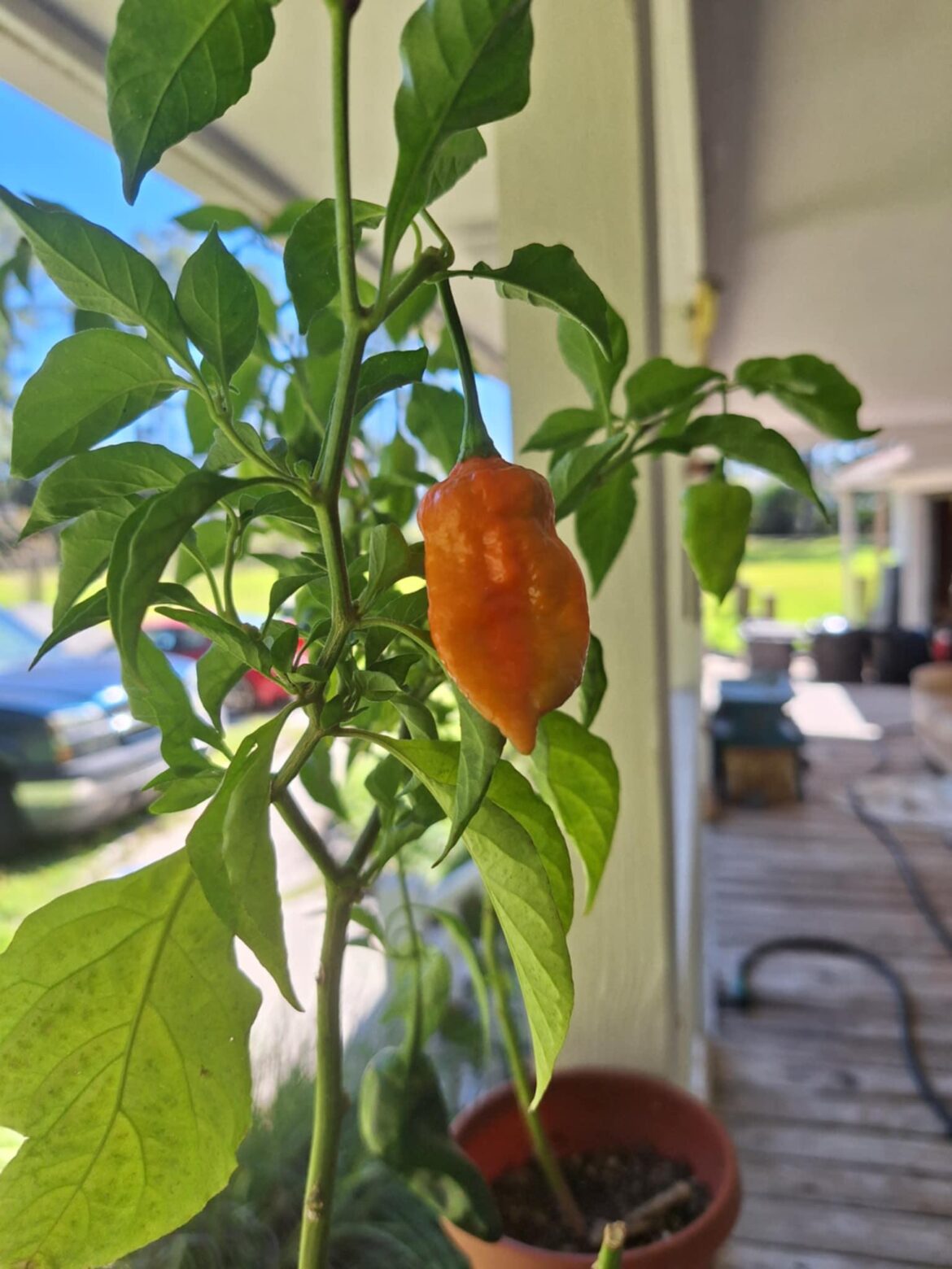 First ghost! I'm pumped!