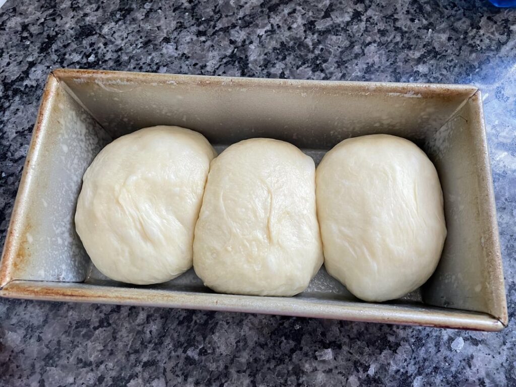 Ya know, sometimes you fall asleep while your brioche is proofing…