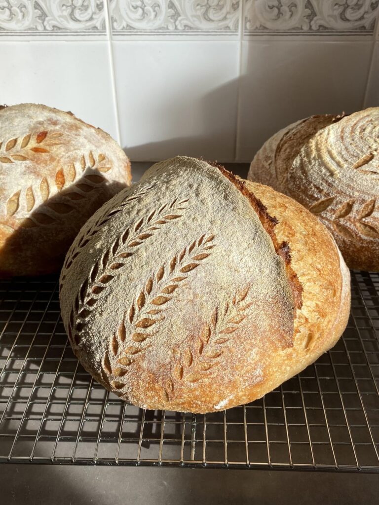 How to get a big belly?