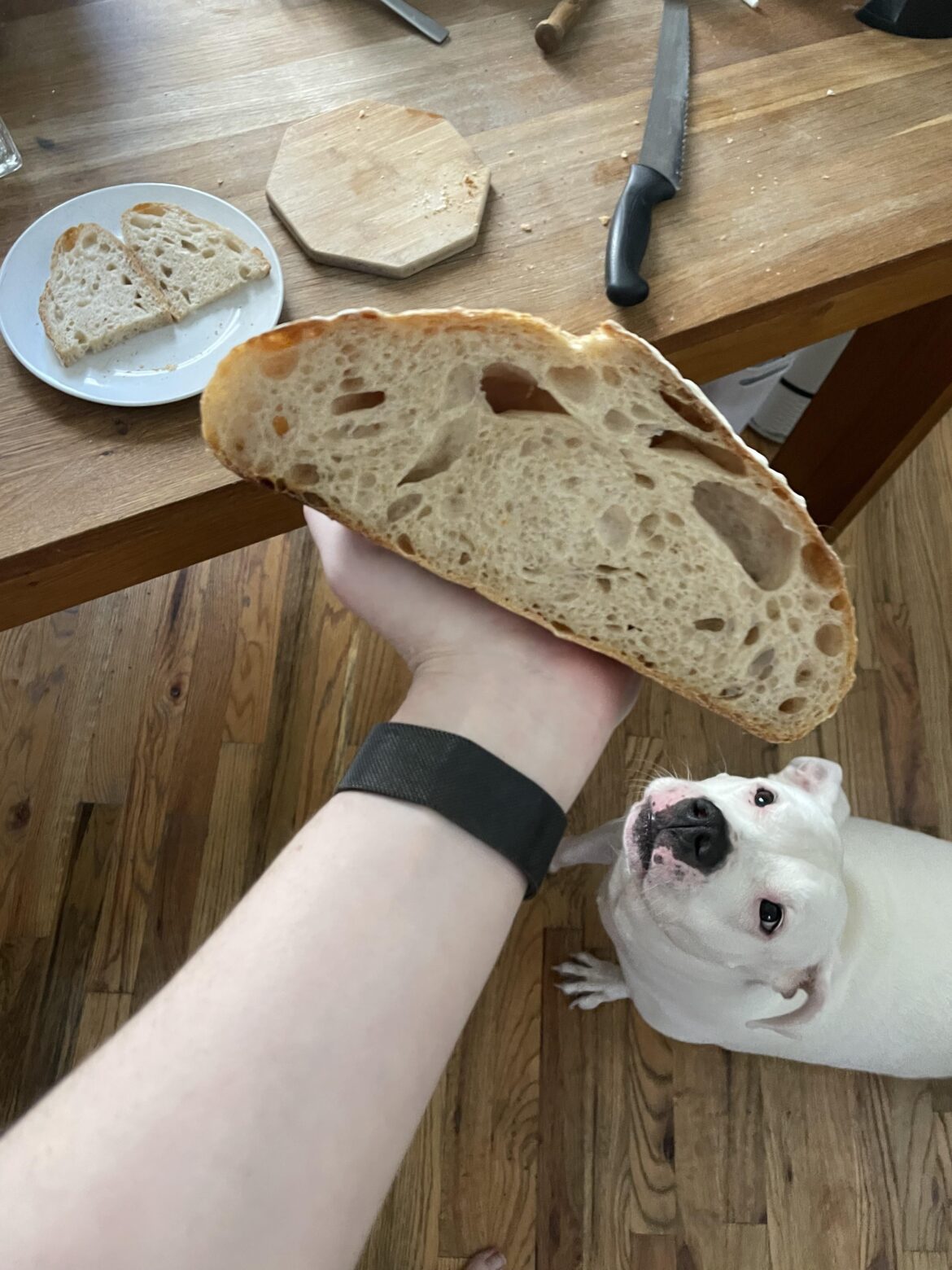 My first 36 hour cold ferment, super happy with the crumb