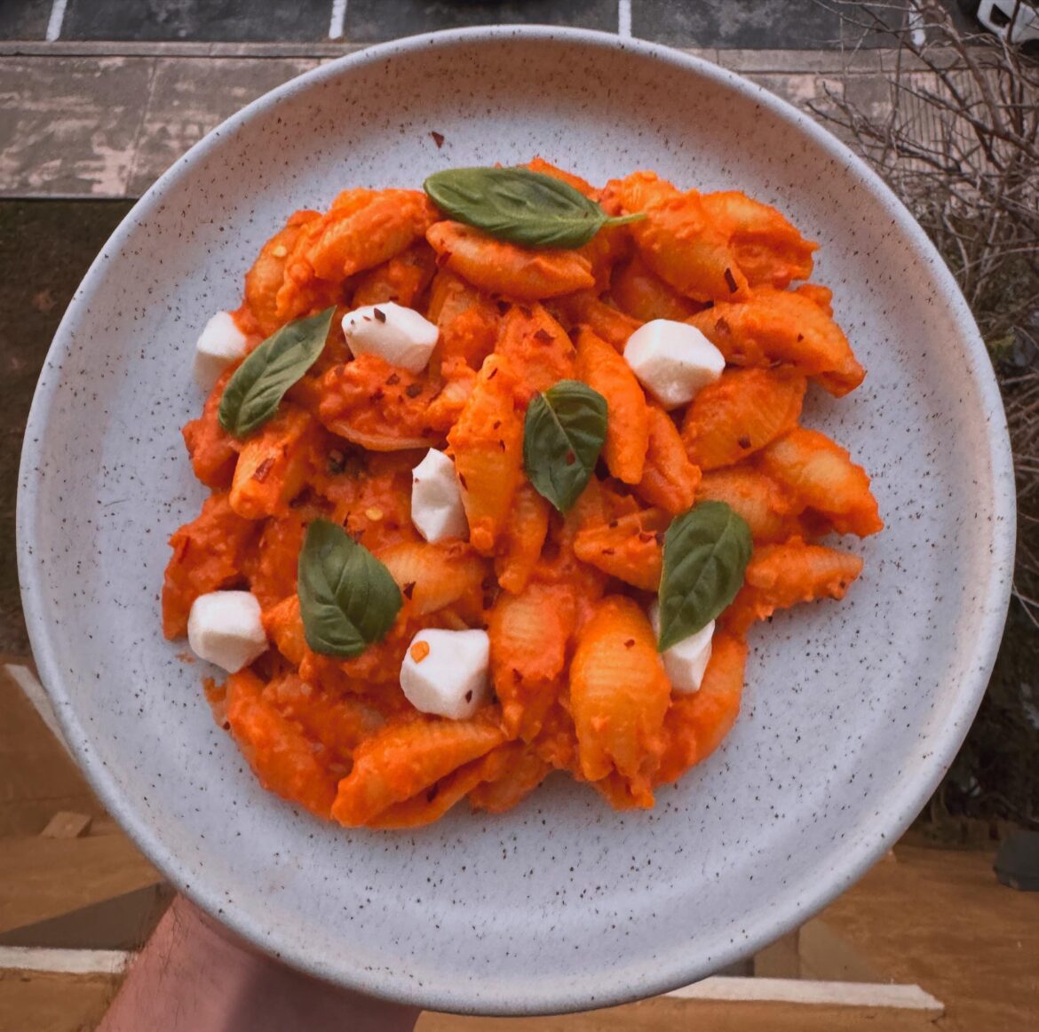 Homemade vodka sauce and shells and mozzarella pearls