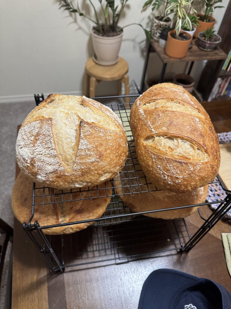 My partner’s first ever bake