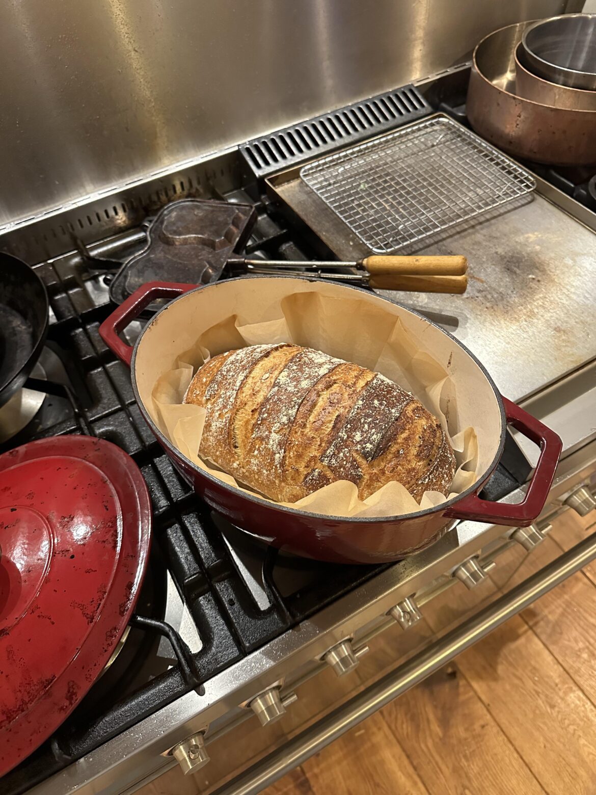 The joy of a new born!