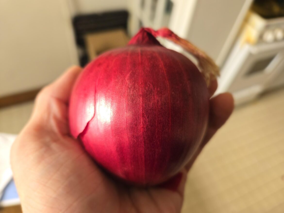 This isn't a fancy post, I just think this onion is beautiful. And I wish I could praise the farmer who grew it.