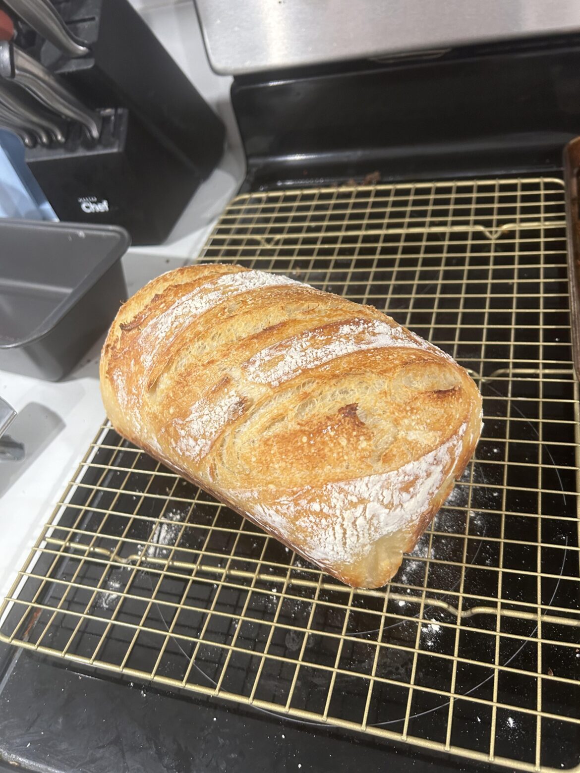 First time making a loaf pan sourdough!