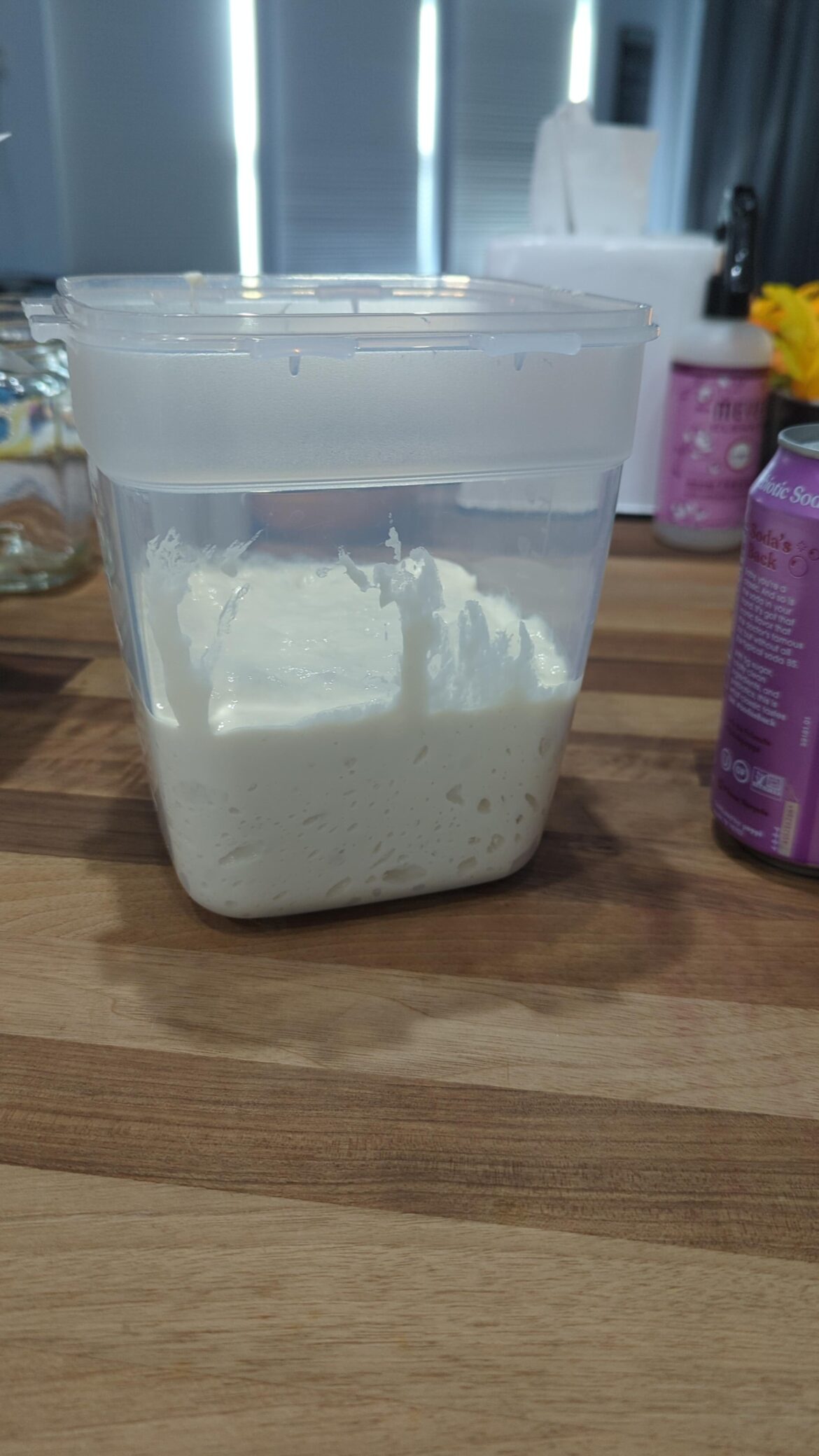 Anyone else feel like it's blasphemous to put your starter in tupperware?