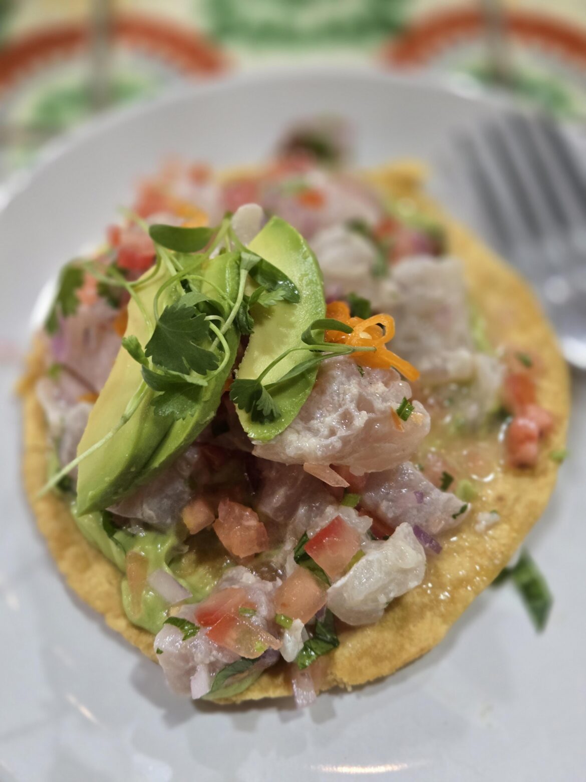 Holbox again tonight. Everything was incredible.