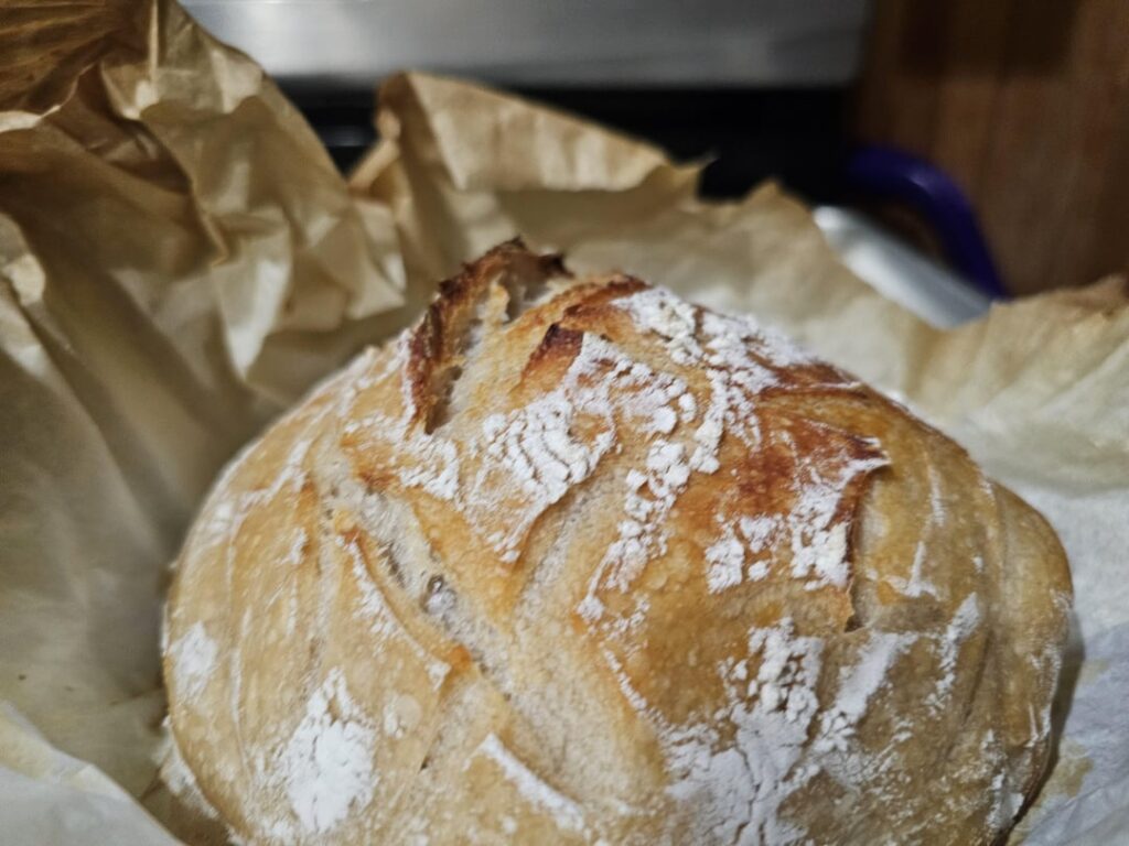 I live on a mountain. 2nd try.