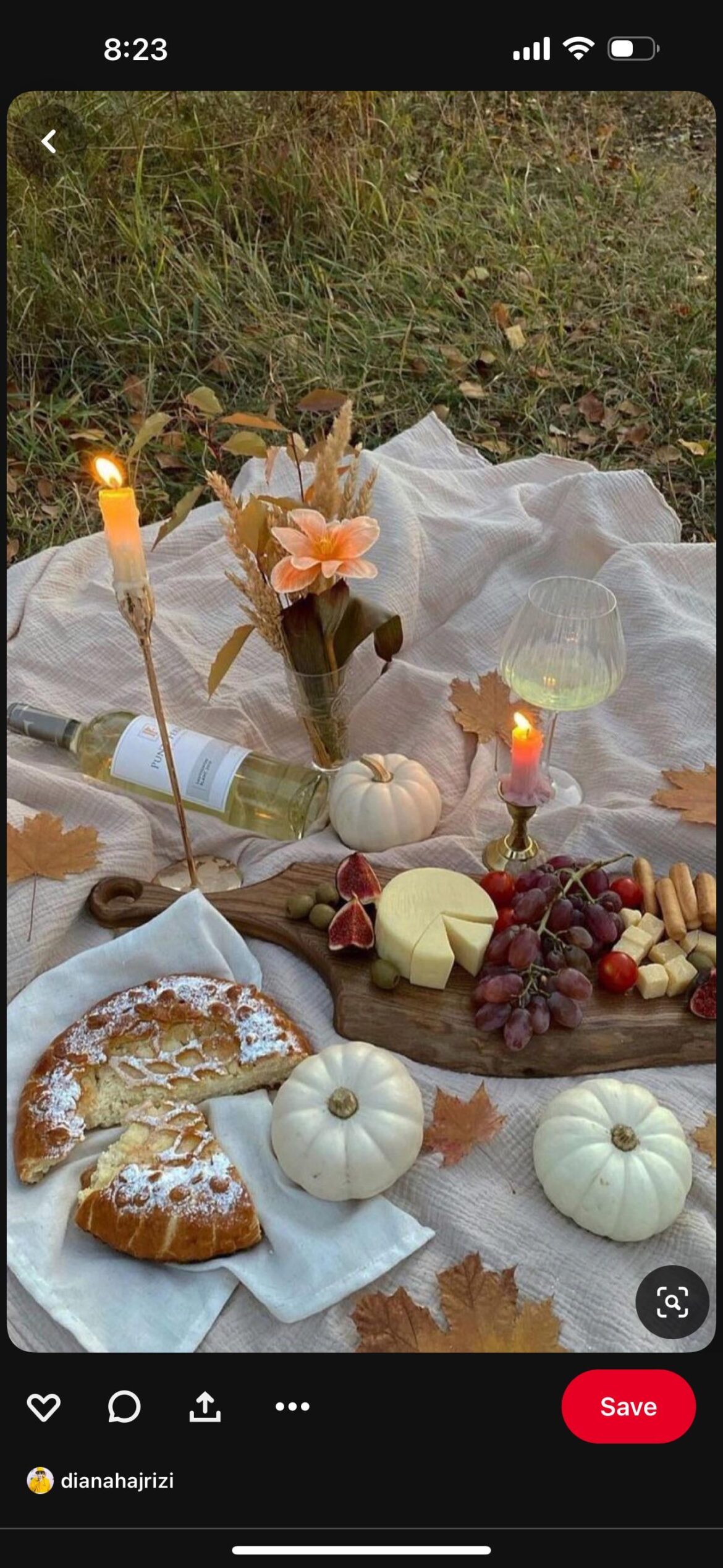 Looking for suggestions