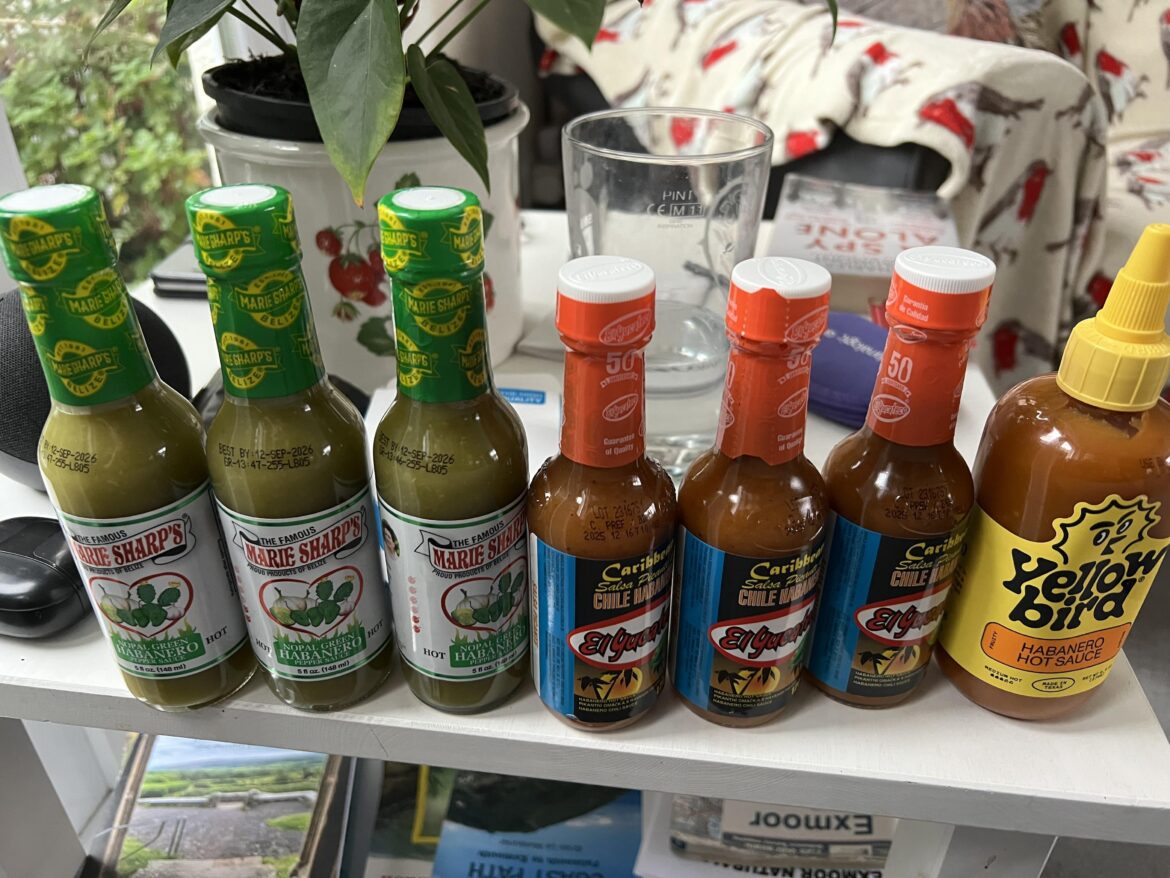 Thank you to the good people of this sub