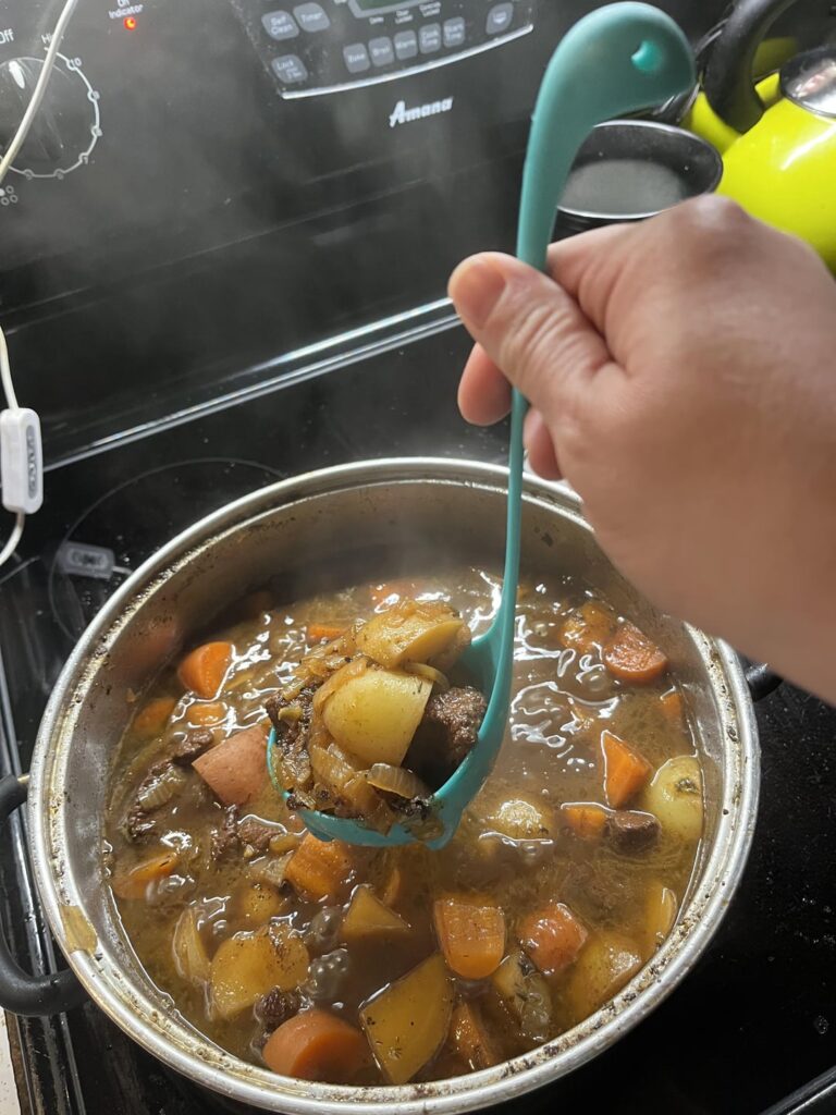 French onion beef stew