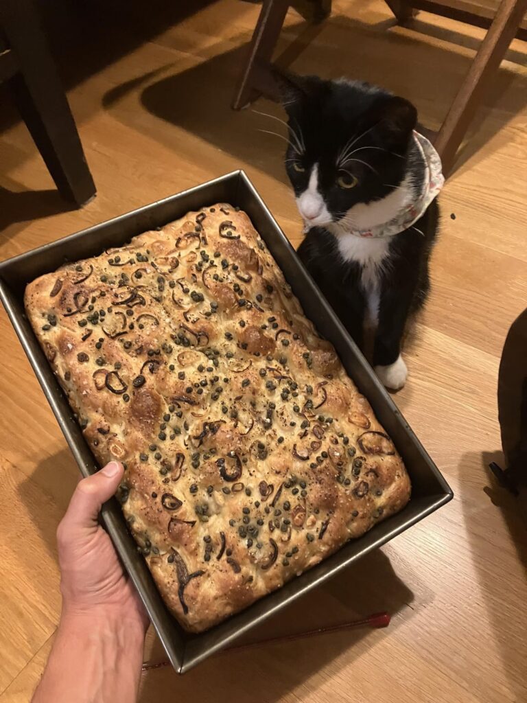 Fresh focaccia (bonus cat)