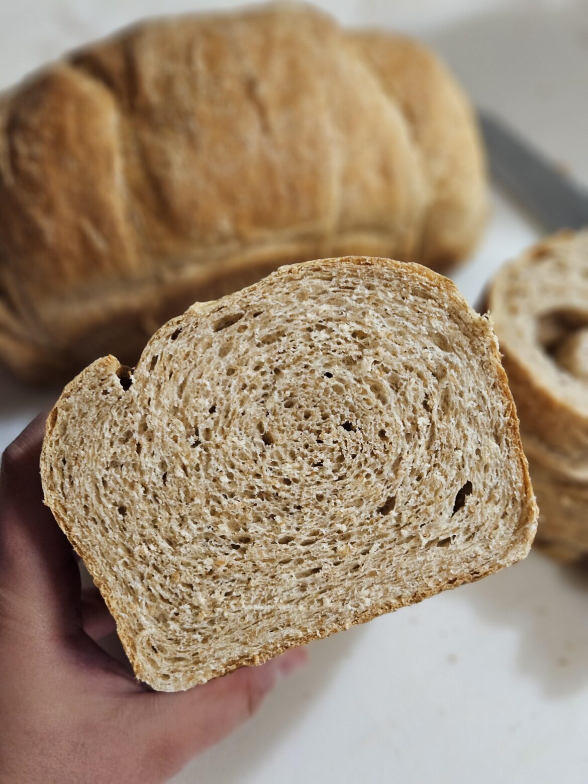 Homemade sandwich bread that I baked last night and sliced this morning
