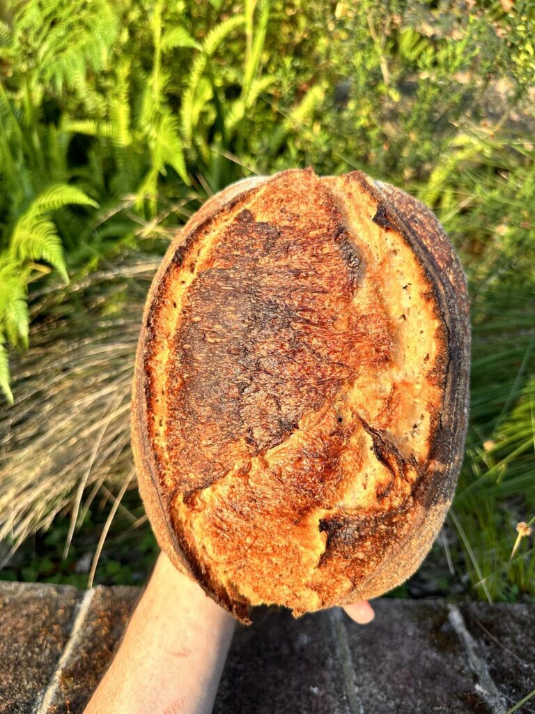 Any afternoon is a nice afternoon to eat sourdough, but today was particularly nice.