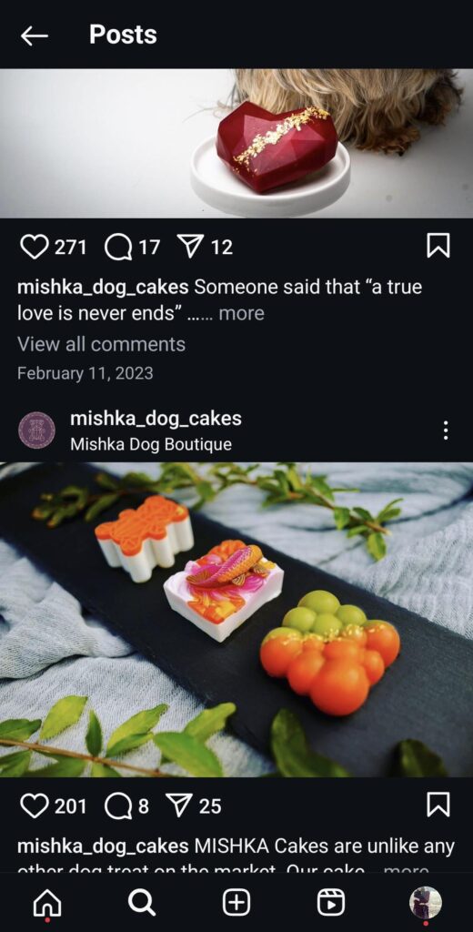 Bougie artisan dog cakes?