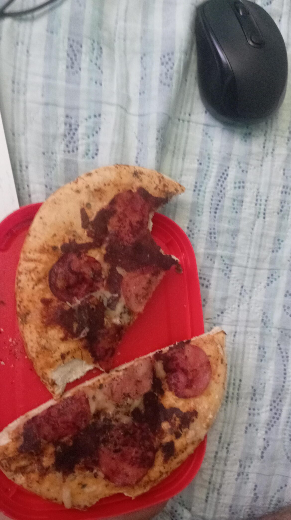 Just a well-done pizza for me ;)