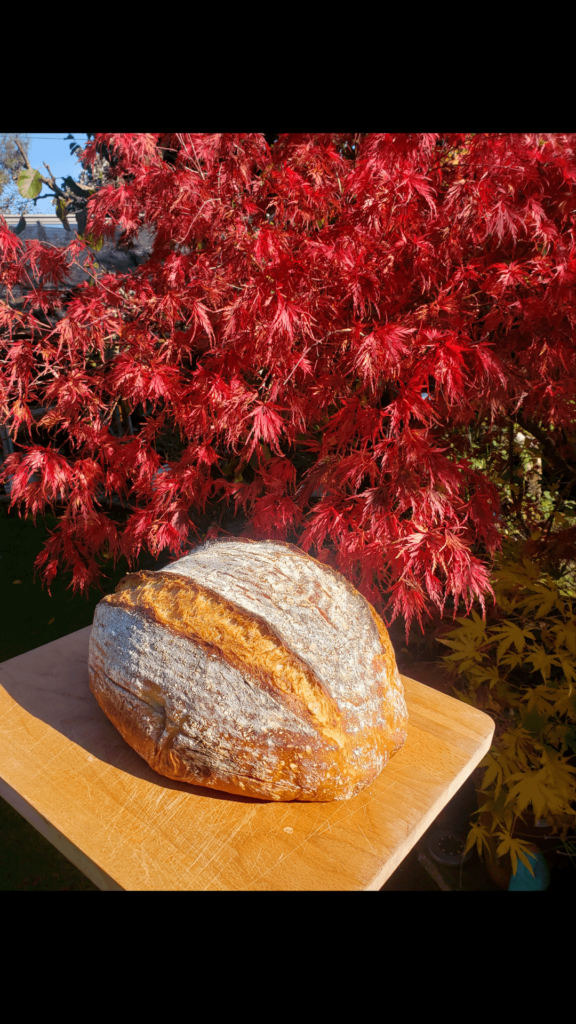 Autumnal sourdough post 🍁