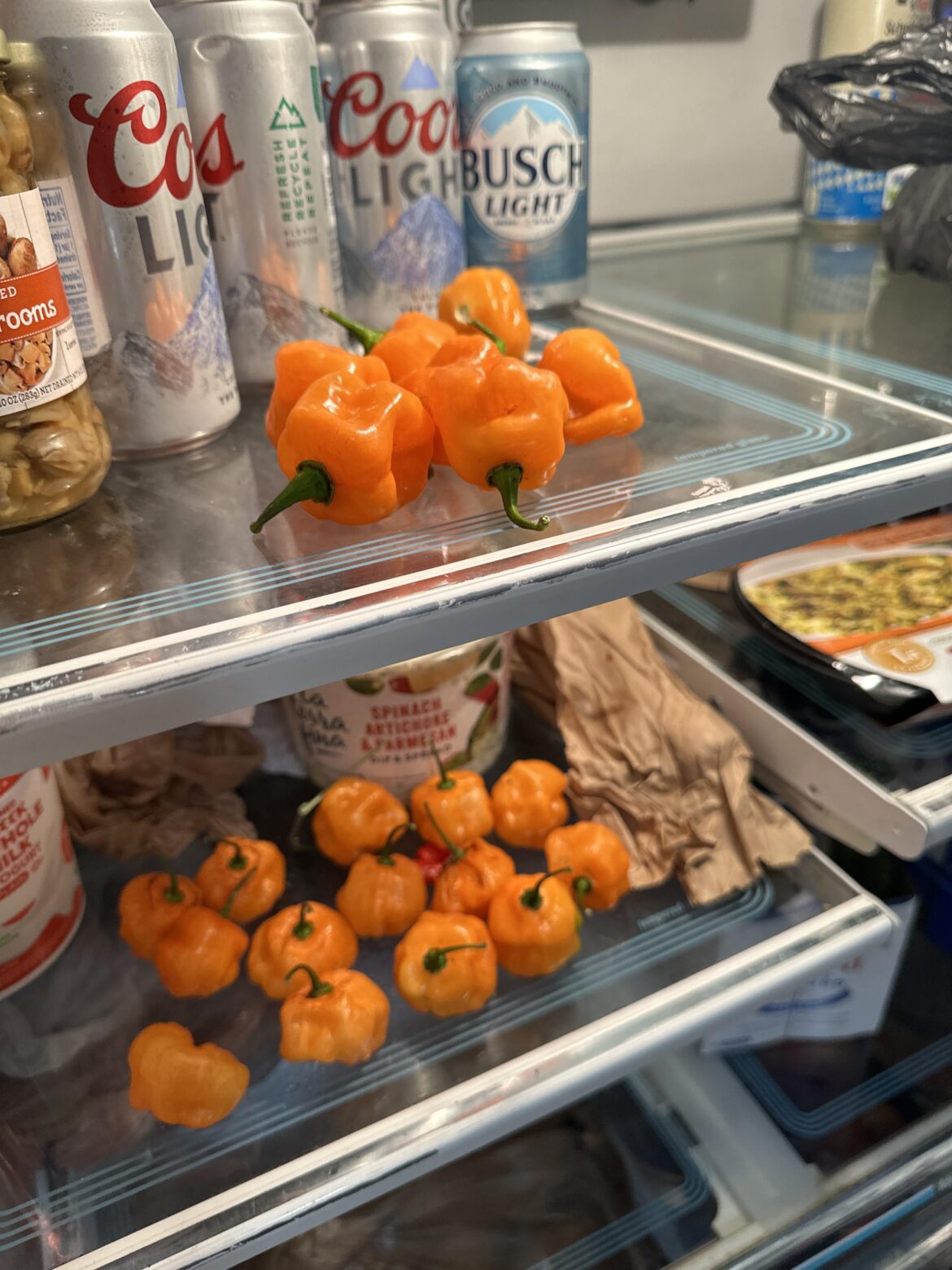 Grandmother started growing her own habaneros. She’s very proud of them to say the least lol