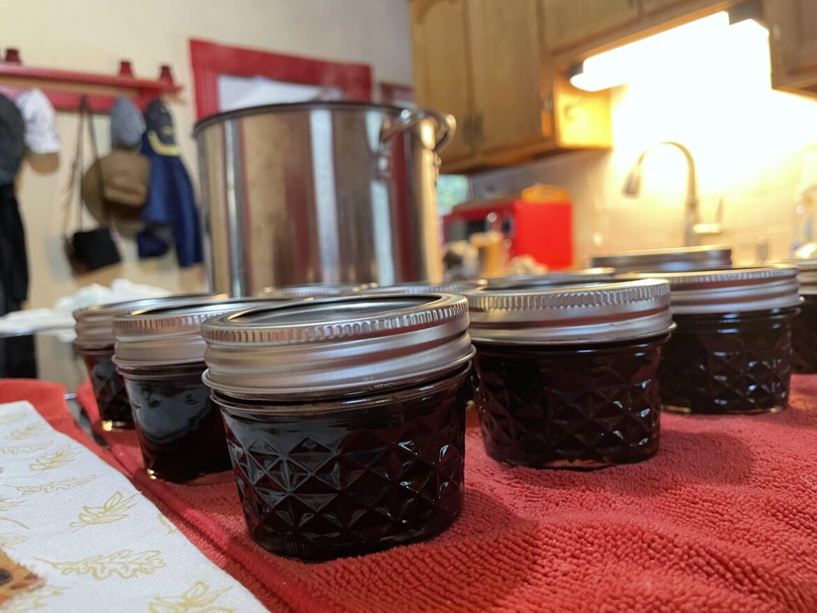 Elderberry jelly
