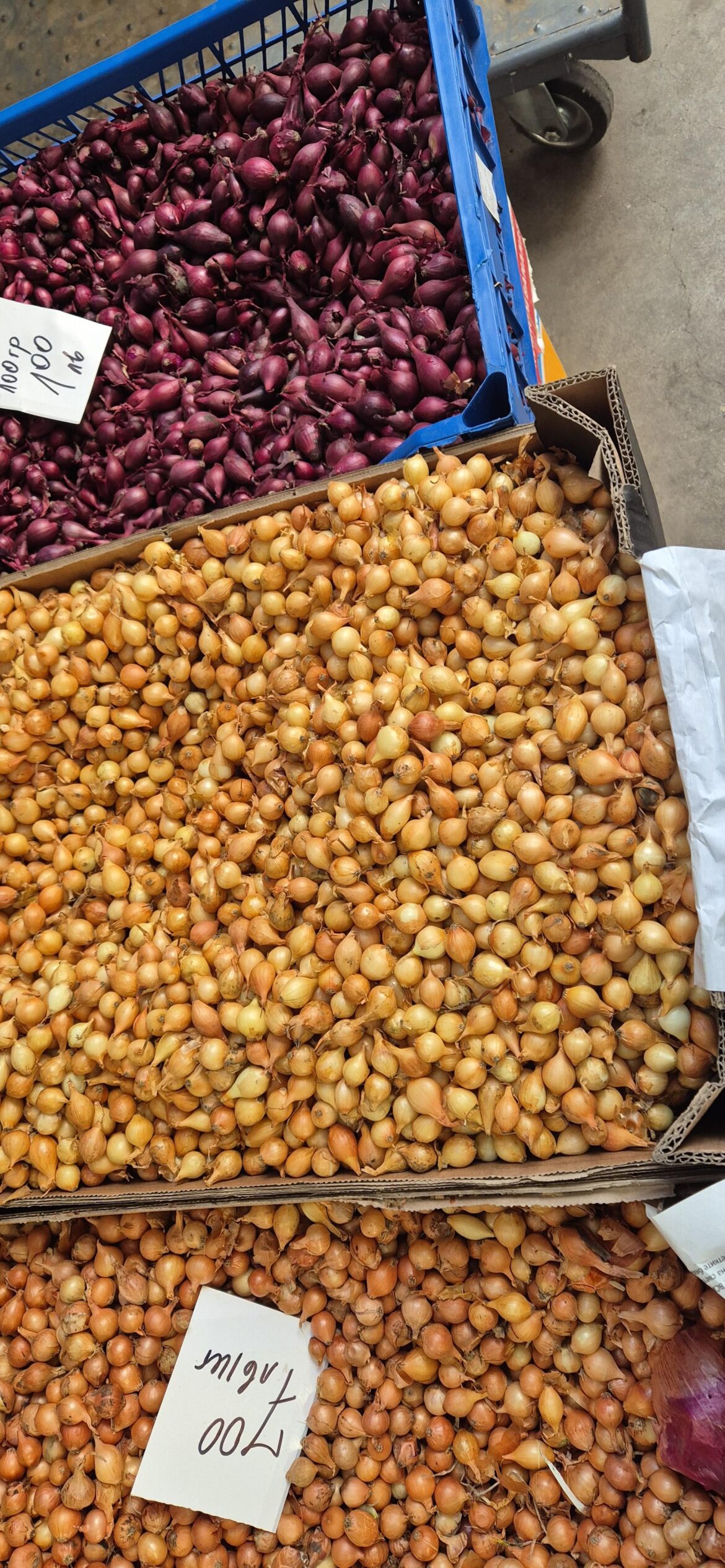 How do you call these in english?