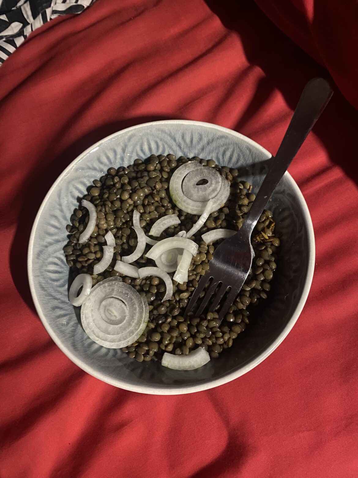 you can never have too much raw onion on your lentils