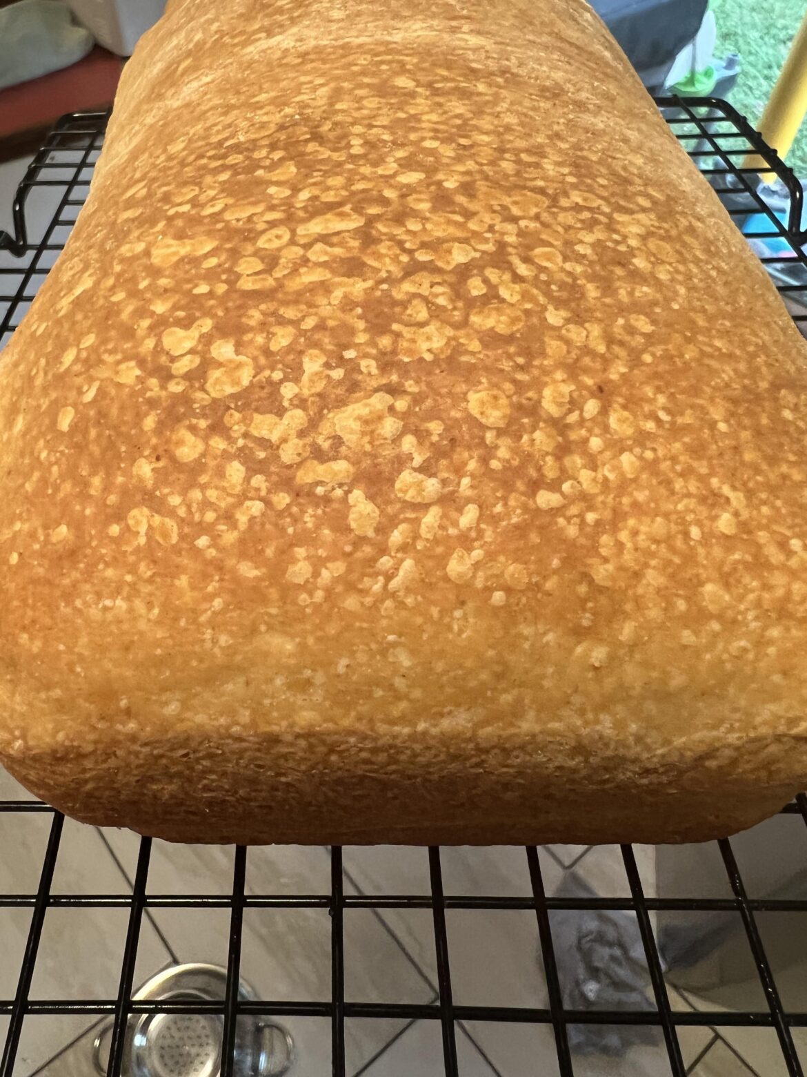 Are these little bubbles a good thing?