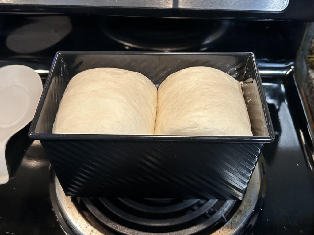 First attempt making Japanese Milk bread