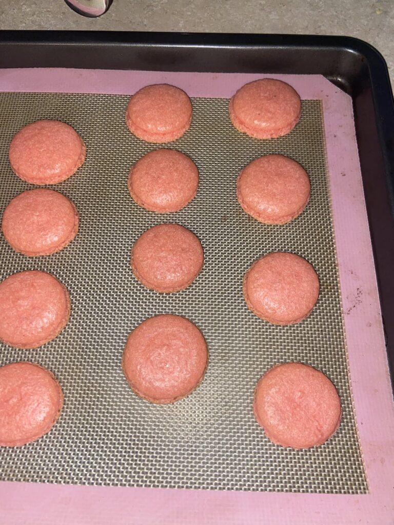 french macaron help