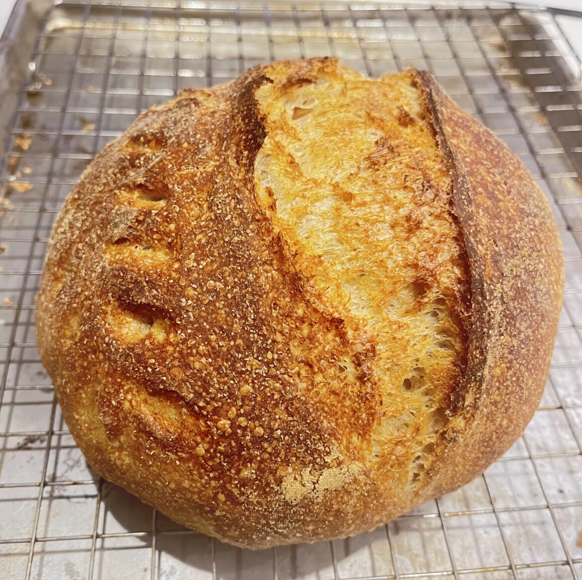 My first ever sourdough