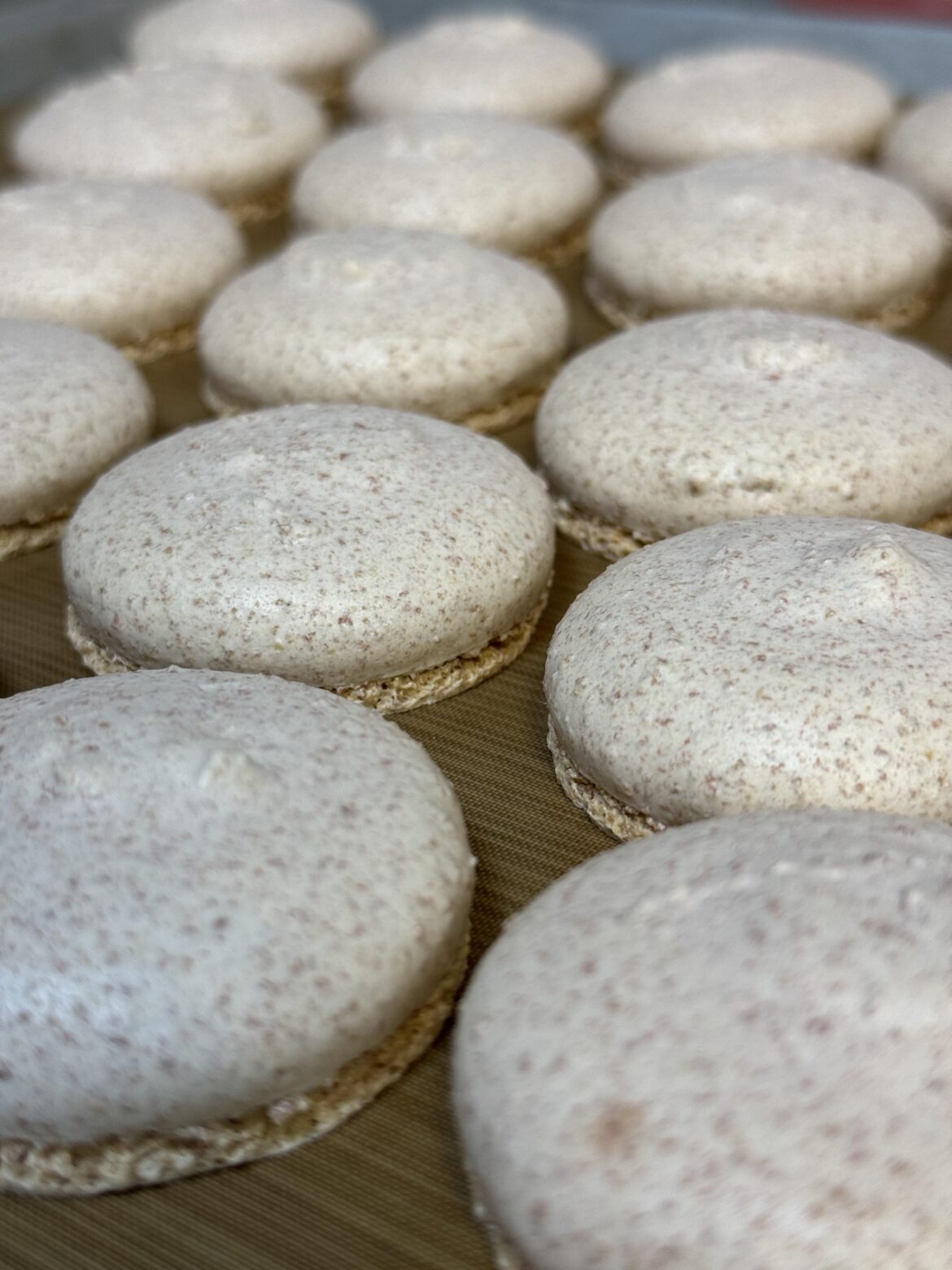 shells made from defective shells