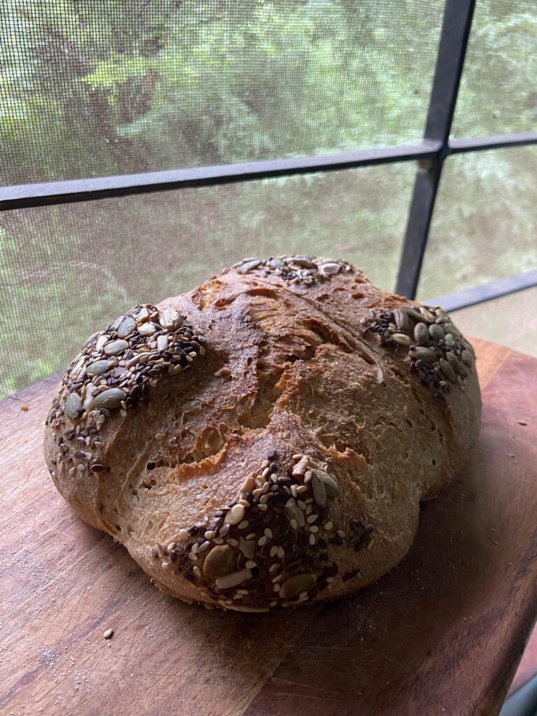 100% whole wheat sourdough. How did I do?