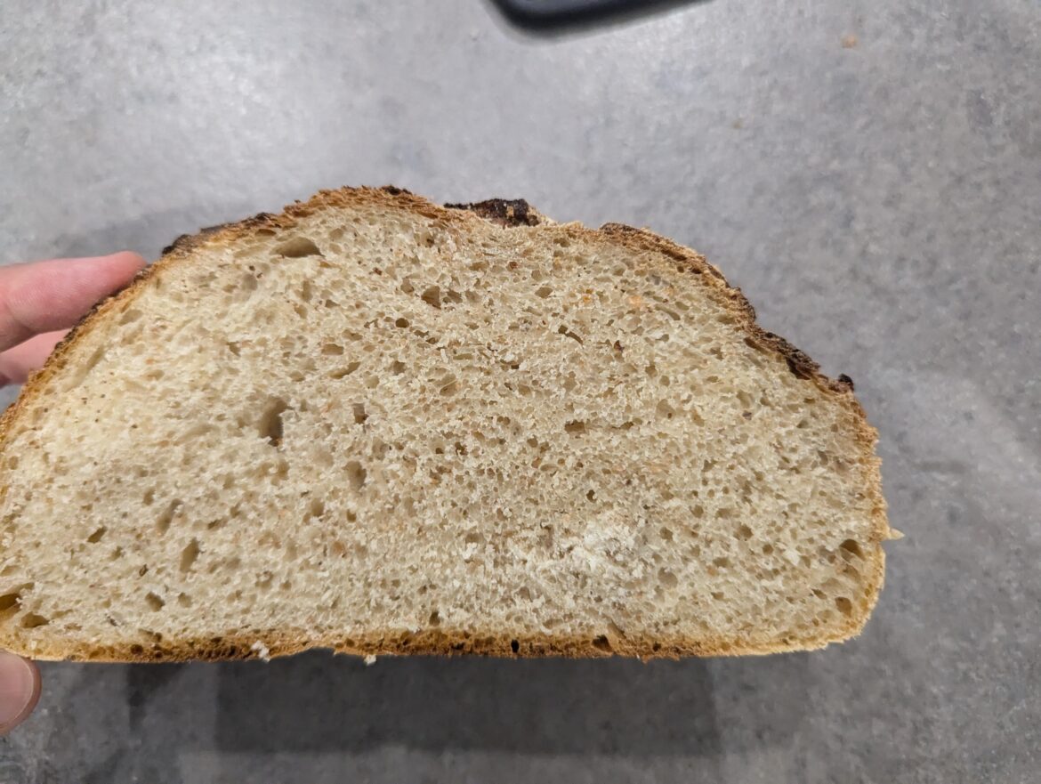 What's the white bits?