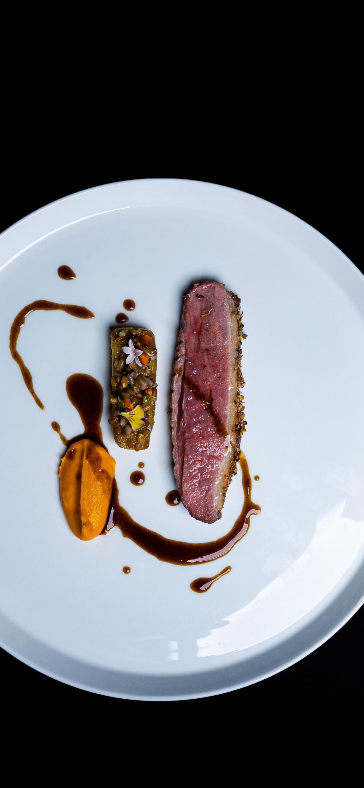 Duck / Carrot / Farro