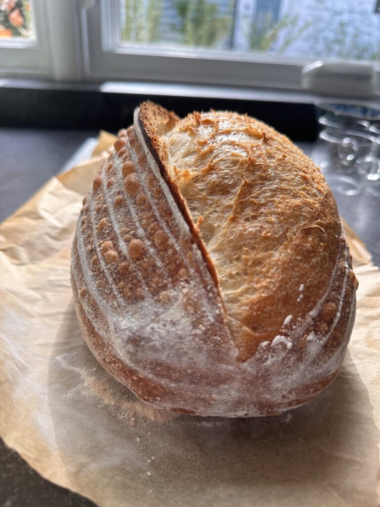 The biggest ear I’ve ever got!!