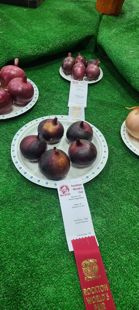 Saw some championship onions on the weekend