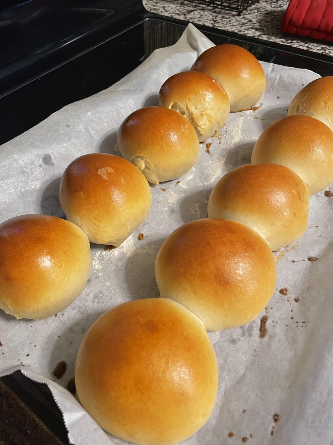 Just some burger buns I made quickly