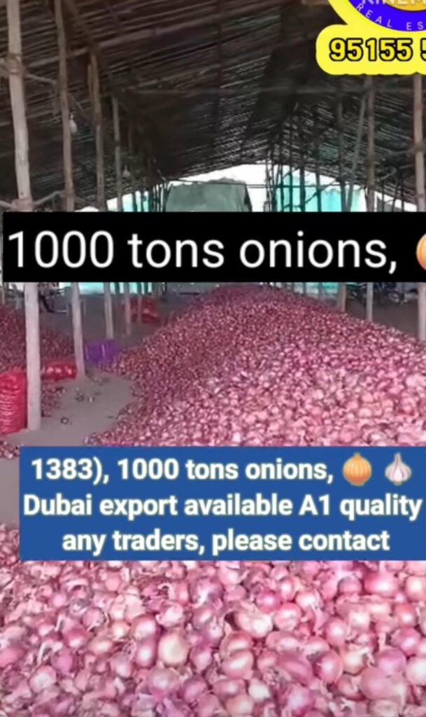 1000 pounds of onions