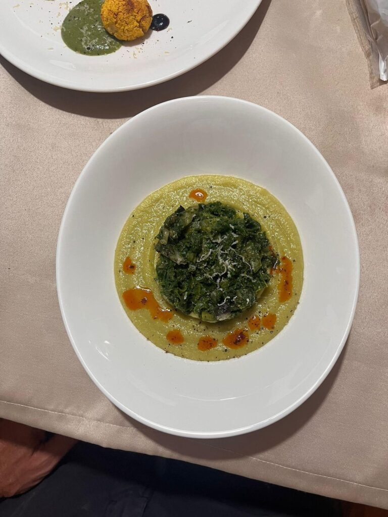 mix of veggies (spinach, a bitter italian green, leek) + herbs on a peas puree containing lemon zest, a bit of maple syrup and some other spices, some chili oil to give some more color