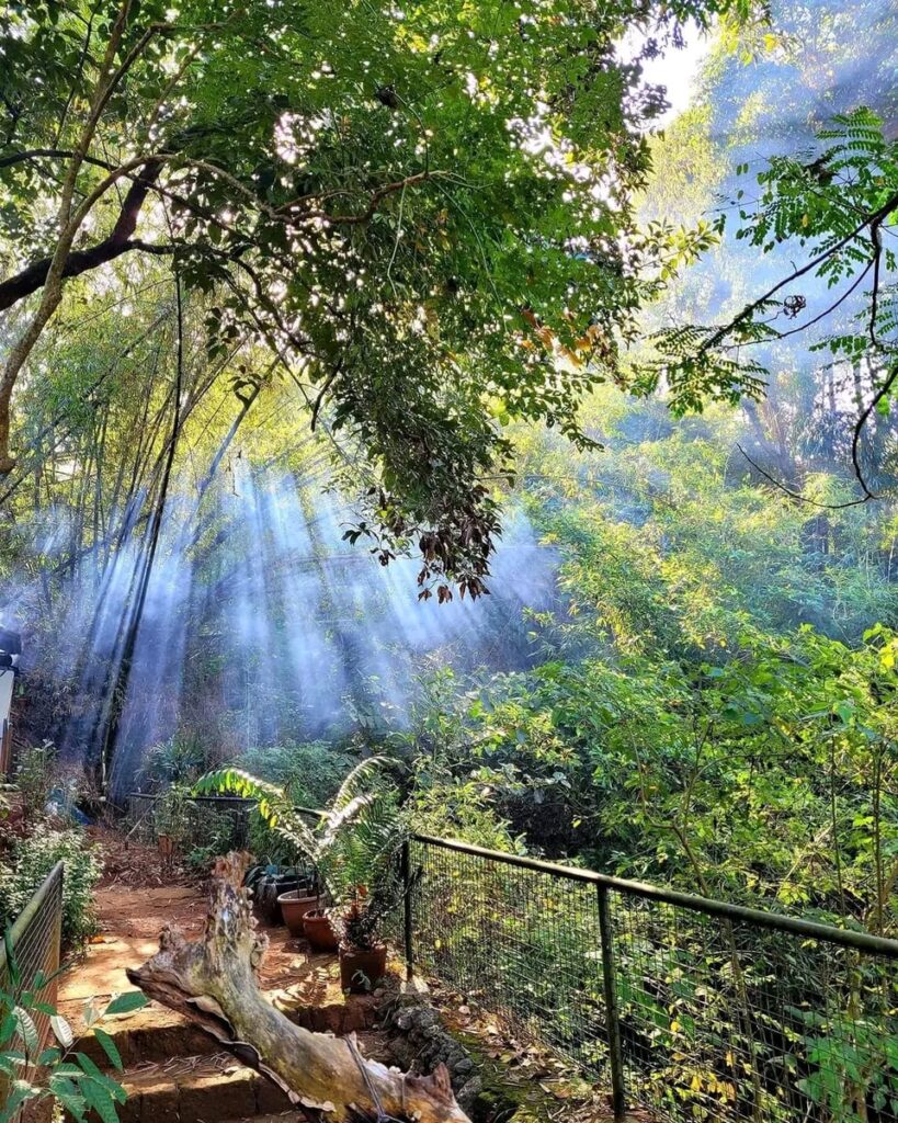 Burrow Cafè at Antipolo Beehouse Perfect for this Upcoming Halloween !!!!!!!!!                              🎃 Halloween Special Offer! 🎃
 