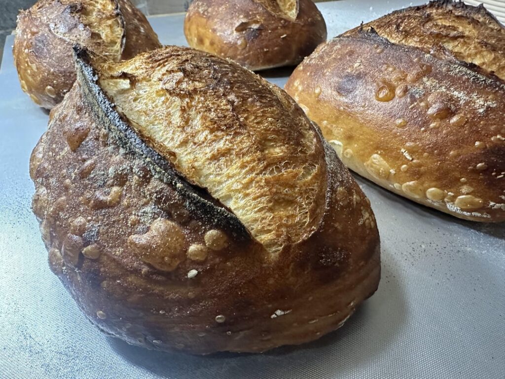 Crusty Sourdough 🥹