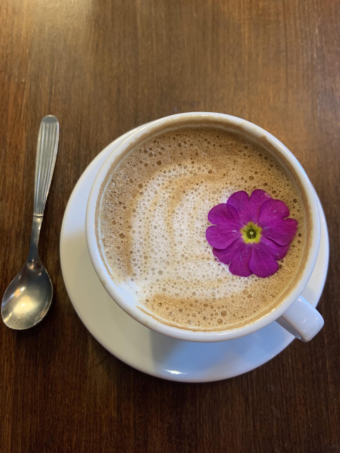 Cafeteria in Austarlia, with a flower because the waiter liked it.