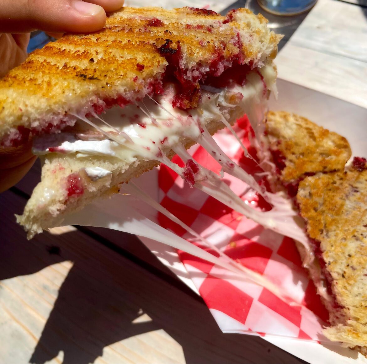Partridgeberry and smoked Brie grilled cheese on sourdough from a food truck in NL, Canada