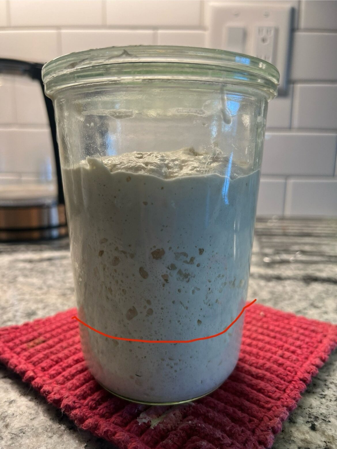 Recipe says to wait 6-8 h for the starter to double, but it’s more than double in 2h. Any drawbacks to using it sooner?