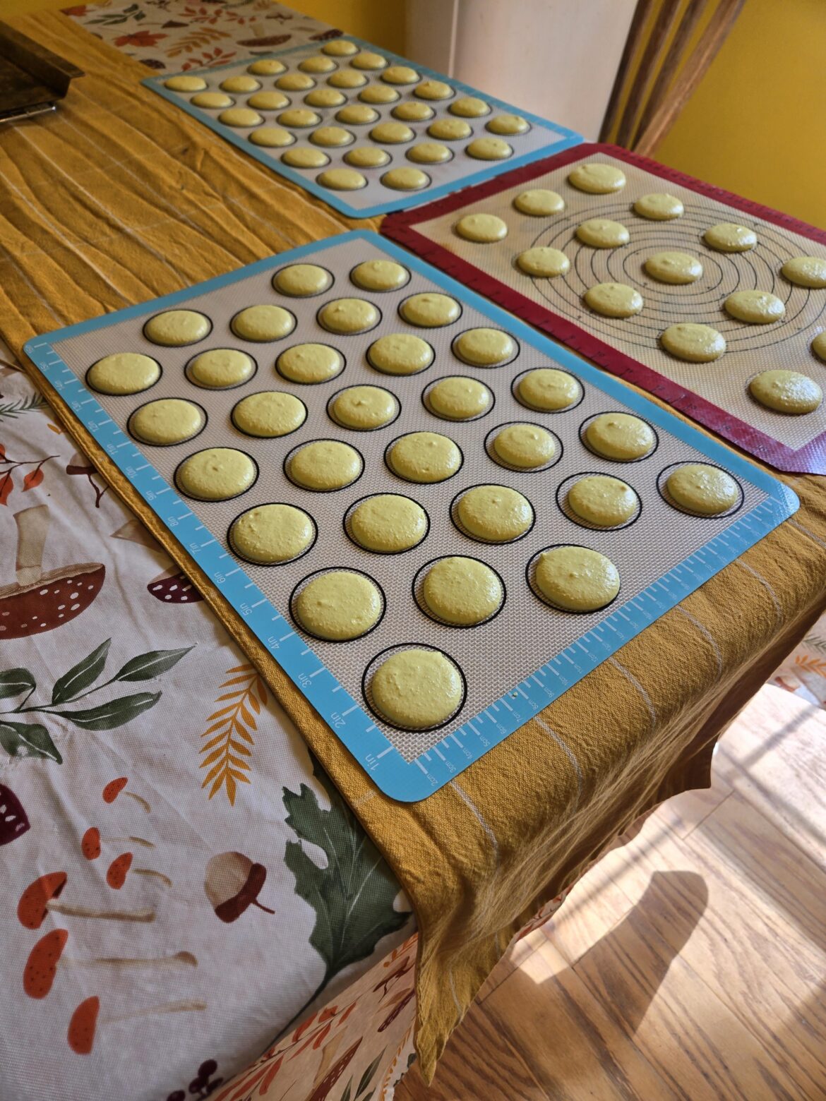 Getting cruising on Banana Pudding Macs