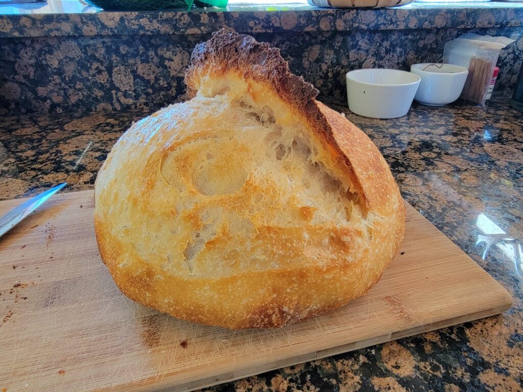 Update 2: +1yr unfed starter results